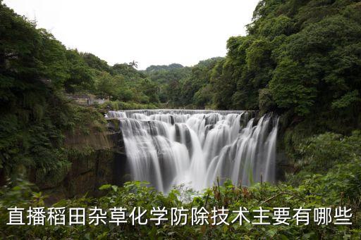 雜稻用什么農(nóng)藥防治,果實蠅用什么農(nóng)藥防治?