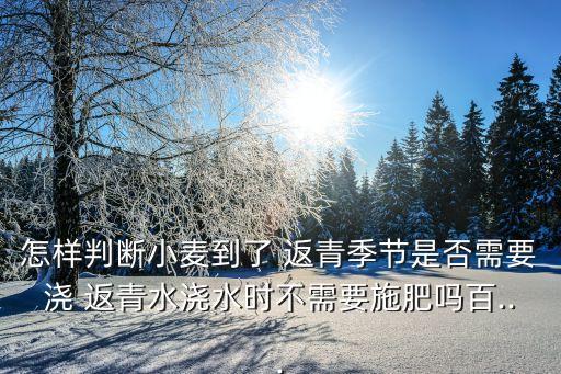 怎樣判斷小麥到了 返青季節是否需要澆 返青水澆水時不需要施肥嗎百...