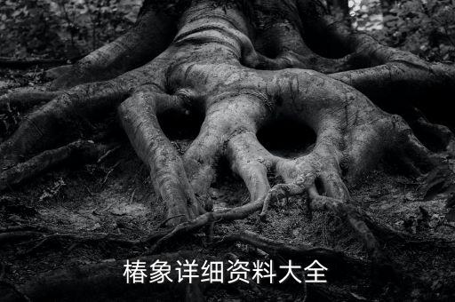 水稻蝽象用什么農(nóng)藥防治,水稻農(nóng)藥什么時(shí)間打效果最好