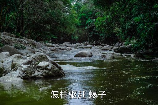 什么農藥治蝎子好,蝎子害怕什么農藥