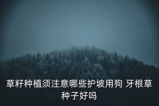 草籽種植須注意哪些護坡用狗 牙根草種子好嗎