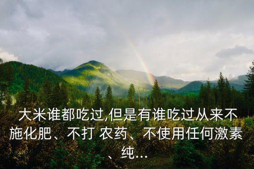 什么大米沒有打過農(nóng)藥,大米有農(nóng)藥味什么原因