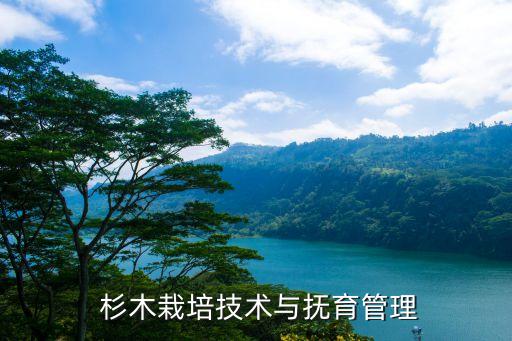 杉木栽培技術(shù)與撫育管理