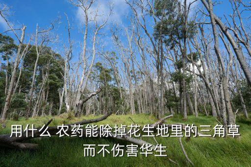 什么農藥能使植物掉葉,植物枯萎病用什么農藥?