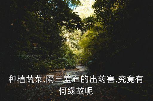 種植蔬菜,隔三差五的出藥害,究竟有何緣故呢