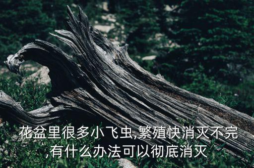 什么農(nóng)藥適合花盆殺蟲,農(nóng)藥可以澆到花盆里殺蟲嗎