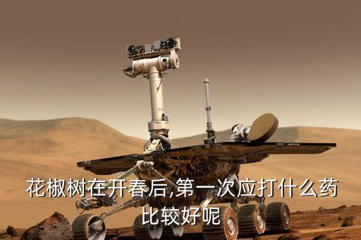  花椒樹在開春后,第一次應(yīng)打什么藥比較好呢