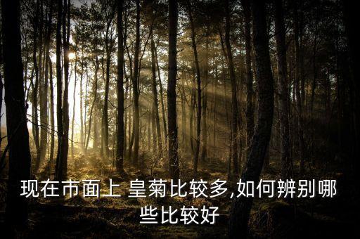皇菊為什么不打農藥,皇古為什么被打