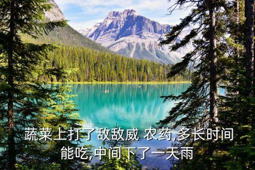  蔬菜上打了敵敵威 農(nóng)藥,多長時間能吃,中間下了一天雨