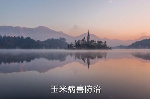  玉米病害防治
