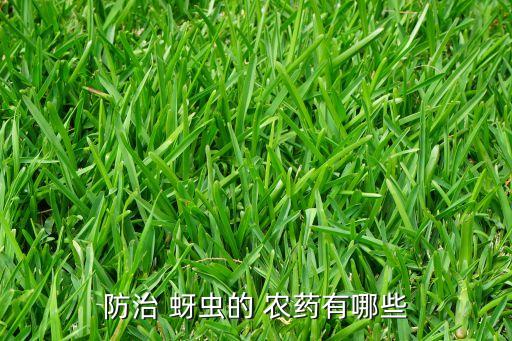 什么農藥打蚜蟲持效期長,蚜蟲用什么農藥最好