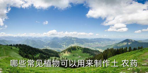 哪些常見植物可以用來制作土 農藥