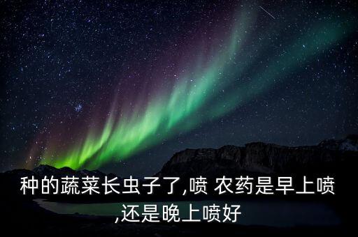 種的蔬菜長蟲子了,噴 農藥是早上噴,還是晚上噴好