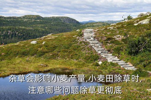 冬小麥用什么噴灑農(nóng)藥,桃樹(shù)噴灑什么農(nóng)藥