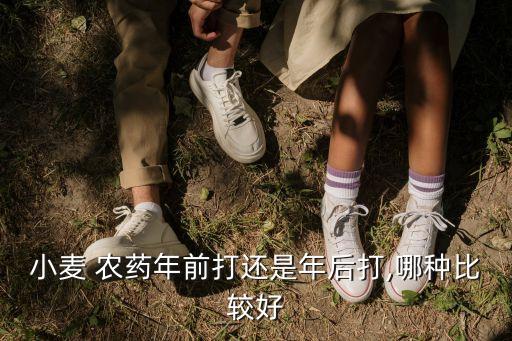 小麥 農(nóng)藥年前打還是年后打,哪種比較好