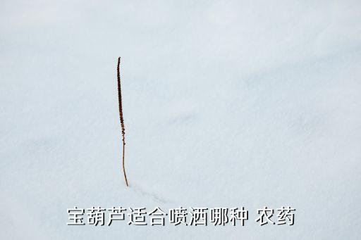 寶葫蘆適合噴灑哪種 農藥