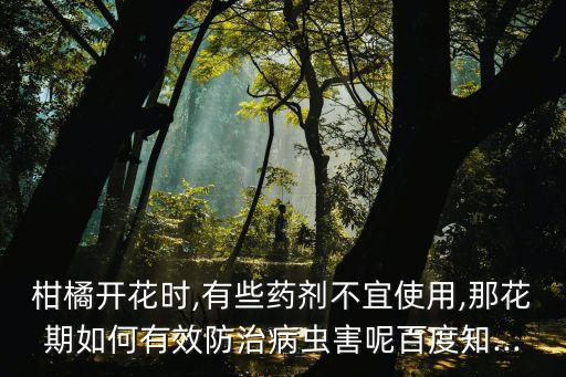 柑橘開花時,有些藥劑不宜使用,那花期如何有效防治病蟲害呢百度知...