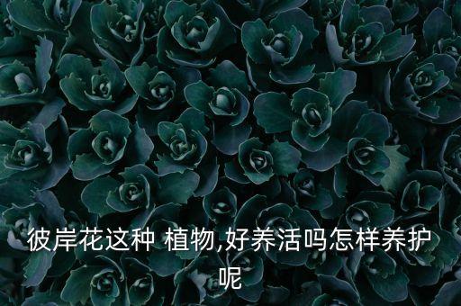 農藥種什么植物好活點,什么農藥能使植物快速開花