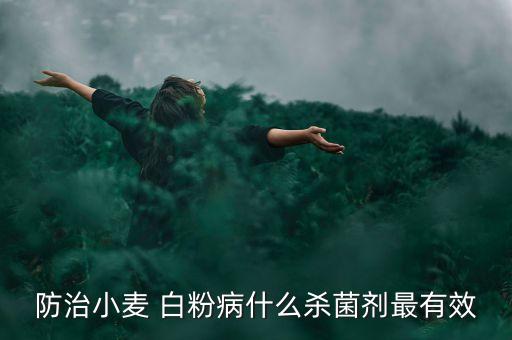 防治小麥 白粉病什么殺菌劑最有效