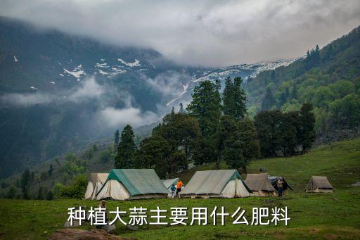 蒜薹打什么農藥長的快
