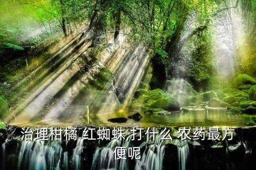 有機硅配什么農藥殺紅蜘蛛,什么農藥不能加有機硅