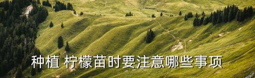 ,種檸檬最怕什么農藥呢