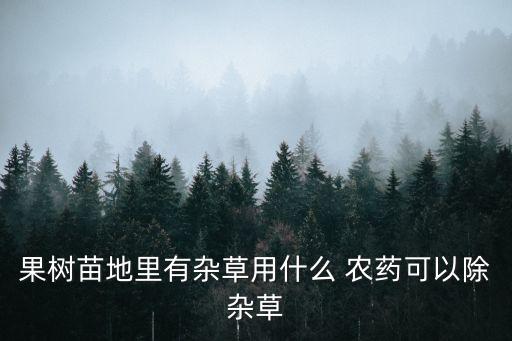 果樹苗地里有雜草用什么 農藥可以除雜草