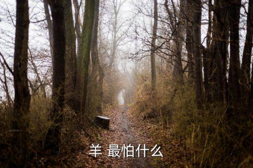 羊 最怕什么