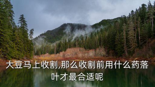 豆子需要打什么農(nóng)藥好使,打農(nóng)藥少的豆子叫什么