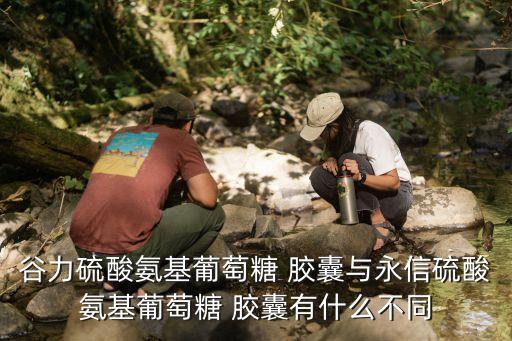 谷力硫酸氨基葡萄糖 膠囊與永信硫酸氨基葡萄糖 膠囊有什么不同