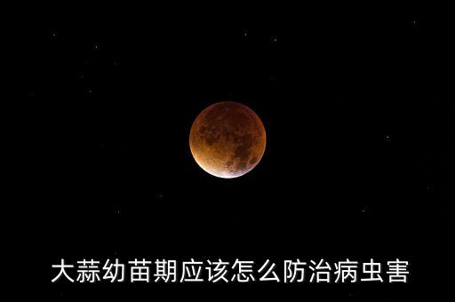 大蒜打什么農藥殺蟲好用,大蒜當前還需要噴什么農藥