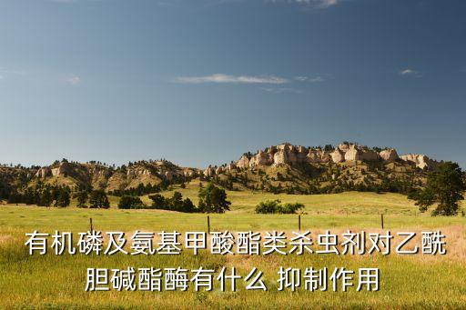 有機(jī)農(nóng)藥抑制的酶包括什么,有機(jī)磷酸酯農(nóng)藥抑制的酶