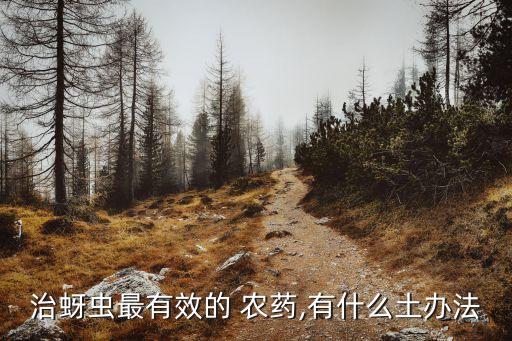 治蚜蟲最有效的 農藥,有什么土辦法