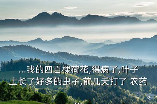 ...我的四百棵荷花,得病了,葉子上長了好多的蟲子,前幾天打了 農藥...