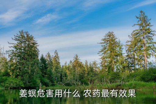 姜蚜蟲用什么農藥最好,最好的治蚜蟲的農藥