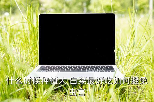 白菜什么時間用農藥,白菜上有蟲用什么農藥效果好