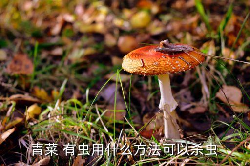 蔬菜有蟲打什么農藥,蔬菜生蟲有什么小妙招