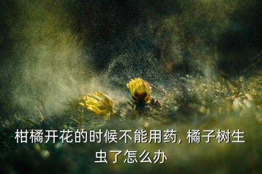 柑橘開花的時候不能用藥, 橘子樹生蟲了怎么辦