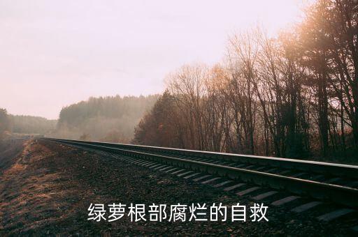 綠根3號農藥是什么,草坪噴綠是什么農藥