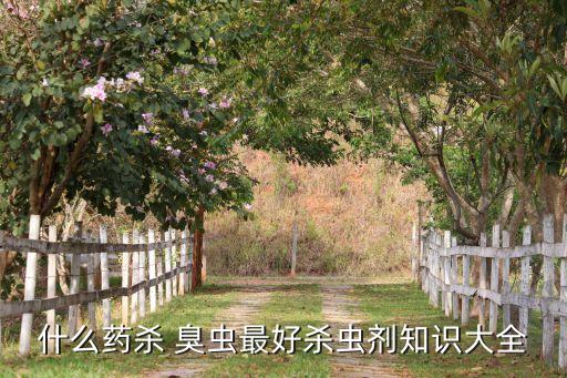 什么藥殺 臭蟲最好殺蟲劑知識大全