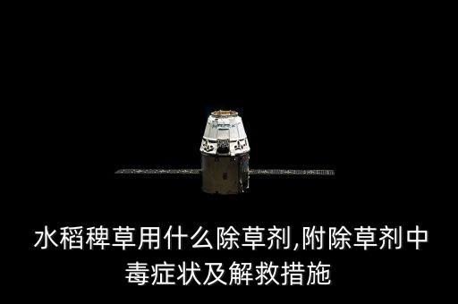 水稻雜草用什么農(nóng)藥好,水稻里的雜草叫什么