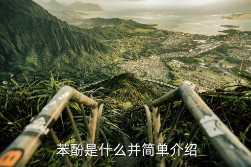 苯酚用作農藥的原理是什么,苯酚消毒劑原理是什么