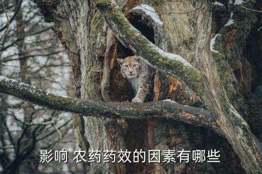 影響 農藥藥效的因素有哪些