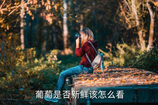 葡萄農(nóng)藥殘留是什么樣子,葡萄上的農(nóng)藥殘留多嗎