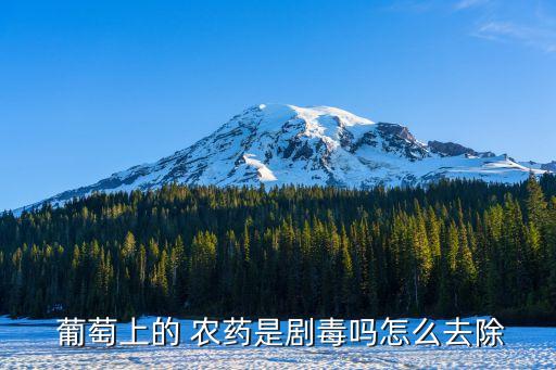 葡萄為什么會打尖叫農藥,吃飯為什么叫打尖