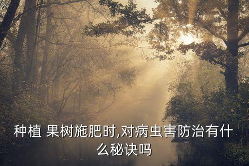火龍果樹為什么放燈,果樹為什么要放農藥水