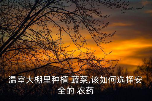 溫室大棚里種植 蔬菜,該如何選擇安全的 農(nóng)藥