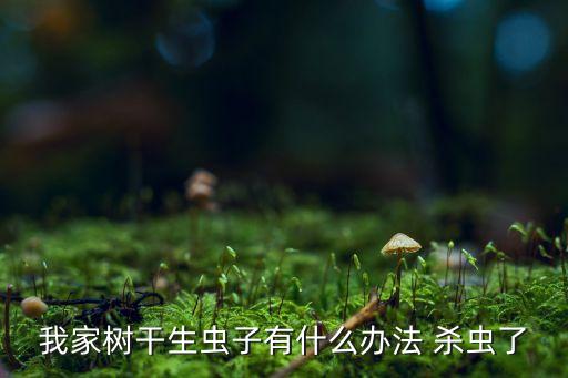 樹根澆什么農(nóng)藥干枯殺蟲,什么農(nóng)藥能讓樹根死亡