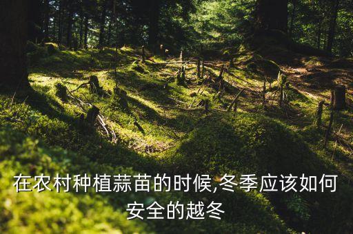 在農(nóng)村種植蒜苗的時候,冬季應(yīng)該如何安全的越冬