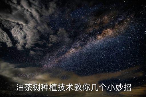  油茶樹種植技術教你幾個小妙招